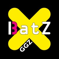 BatZ GGZ logo - Similar company to Hextra Begeleiding