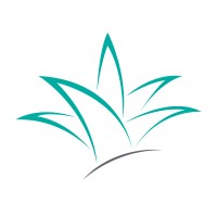 The iidea Company logo - Similar company to Geinn Grupo Empresarial Innovación