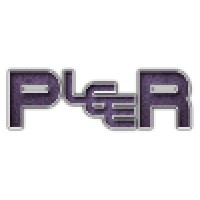 Pleer Seo And Web Design