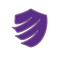 PGS Solution logo - Similar company to La Lune Solutions Group (Lsg)
