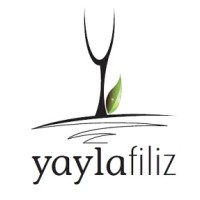 YaylaFiliz Serbia logo - Similar company to Bozak Construction