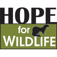 Hope For Wildlife logo - Similar company to Arcadia Entertainment