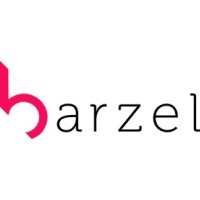 Barzel Development logo - Similar company to Green Explosion