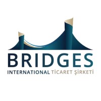 Bridges International Company logo - Similar company to Saja Group