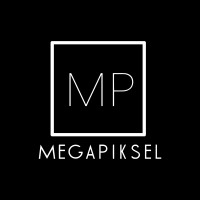 Megapiksel logo - Similar company to Olde Hansa