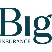 Big Insurance logo - Similar company to Tech Learning