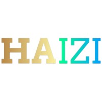 HAIZI IT SOLUTIONS PRIVATE LIMITED logo - Similar company to Pc Solution Srl