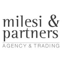 Milesi&Partners logo - Similar company to Codepek Digital Agency