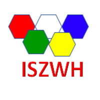 ISZWH Limited logo - Similar company to Seaeb Security Services Ltd