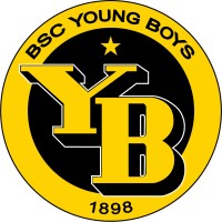 BSC Young Boys logo - Similar company to Fc St.Gallen 1879