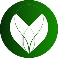 SIEMIEfilms logo - Similar company to Jungle Studio