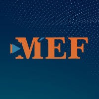 FidMed logo - Similar company to Logivitae
