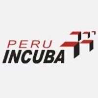 Asociación Peruana de Incubadoras de Empresas - PERUINCUBA logo - Similar company to Power Pitch Method