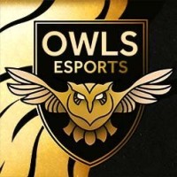 OWLS Esports logo - Similar company to Mesa