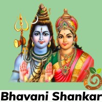 Bhavani Shankar logo - Similar company to Jagadeesh