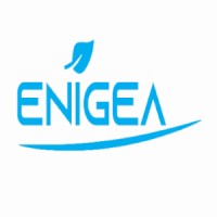 ENIGEA logo - Similar company to Data Remote