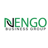 NENGO BUSINESS GROUP Ltd logo - Similar company to Mephcon Integration Technology Pvt Ltd