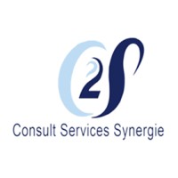 Consult Services Synergie logo - Similar company to O Interim Solutions Sarl
