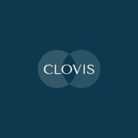 Clovis - Consulting en Stratégie logo - Similar company to Impulsar Group