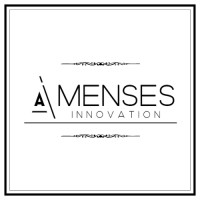 Amenses Innovation Pvt Ltd logo - Similar company to Future Innoadd It Services