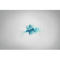 Visulent logo - Similar company to Fabulous & Amazing Works