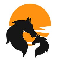 Adhwaitha Web Consultancy Services logo - Similar company to Adowing