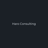 Haro Consulting logo - Similar company to Anubbe