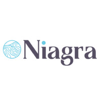 Niagra logo - Similar company to Cakra Studio