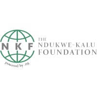 Ndukwe Kalu Foundation (NKF) logo - Similar company to Digispace Africa
