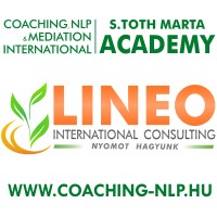 Lineo International Consulting LTD. logo - Similar company to 凯泰 Cathay Associates