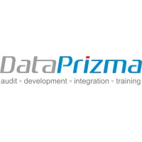 Dataprizma LLC logo - Similar company to NewCode