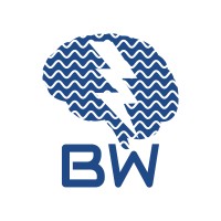 Brainwave AI Solutions logo - Similar company to Do&Go | Responsible Ai Solutions For Human Complexity