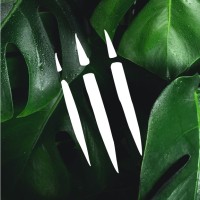 Jaguar Creek Belize logo - Similar company to Goble Properties