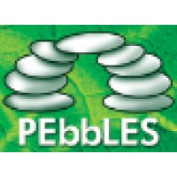 Pebbles Private Limited logo - Similar company to Thrive X Global