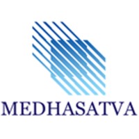 MEDHASATVA Consulting logo - Similar company to Tmi Group