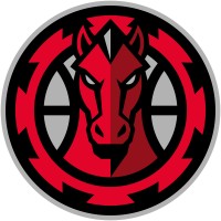 Mulhouse Mustangs logo - Similar company to Com'Innov