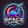 Space Camel Roket Takımı logo - Similar company to Bartın Üniversitesi Havacılık Ve Uzay Kulübü
