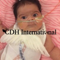 Cdh International Singapore