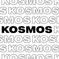 KOSMOS logo - Similar company to Wiigroup