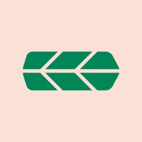 Carlili 🚗🚚🚲 logo - Similar company to Virtuo