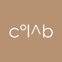 colab.nl logo - Similar company to Techkicks