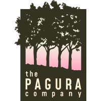 The Pagura Company logo - Similar company to Stratalign Insights