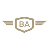 Brillanz GmbH logo - Similar company to Steady Shield Security Gmbh