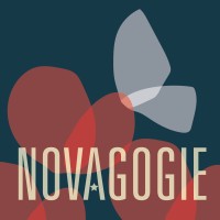 Novagogie, le podcast logo - Similar company to Lidilem
