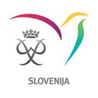 Program MEPI - Mednarodno priznanje za mlade logo - Similar company to Awardnl