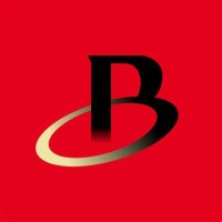 Bradespar logo - Similar company to Safra Group