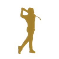 Own Your Golf Game logo - Similar company to The Traffic Projection Tool