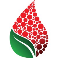 The Iron Infusion Clinic logo - Similar company to Eo Queensland - Entrepreneurs' Organization Queensland