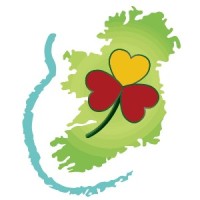 Olé Irlanda Tours logo - Similar company to Irlanda En Español