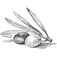 Mallorca Property Guru logo - Similar company to Mallorca Properties